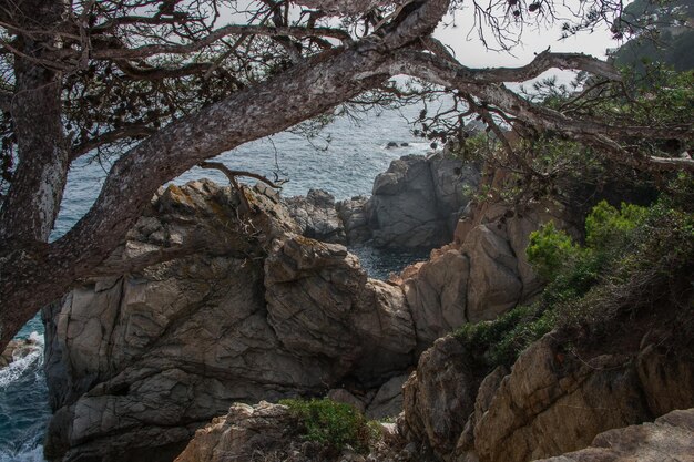 Bellissimo paesaggio costa rocciosa del Mar Mediterraneo Catalogna