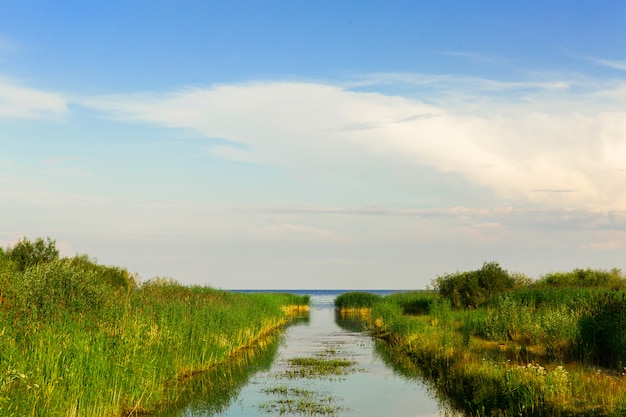 Bellissimo paesaggio del canale del mare. Fiume nell&#39;erba