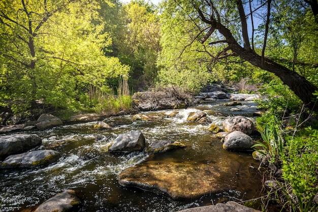 Bellissimo paesaggio del fiume di montagna al giorno pieno di sole