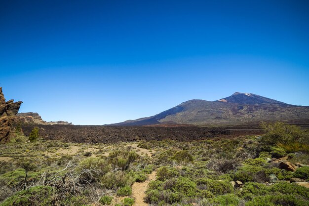 Bellissimo paesaggio del parco nazionale del Teide Tenerife Canarie Spagna