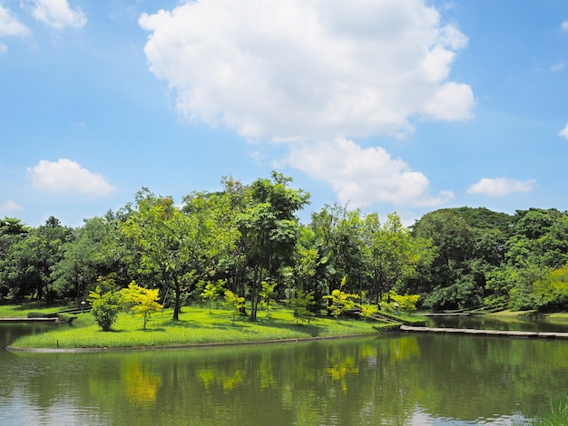 Bellissimo paesaggio del parco.