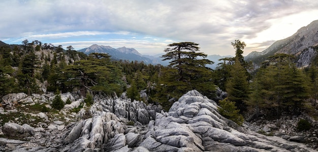 Bellissimo paesaggio della natura delle montagne del Toro sul famoso percorso turistico della Via Licia in Turchia