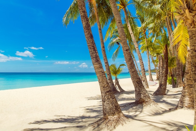 Bellissimo paesaggio della spiaggia tropicale sull'isola di Boracay, Filippine. Palme da cocco, mare, barca a vela e sabbia bianca. Vista della natura. Concetto di vacanza estiva.