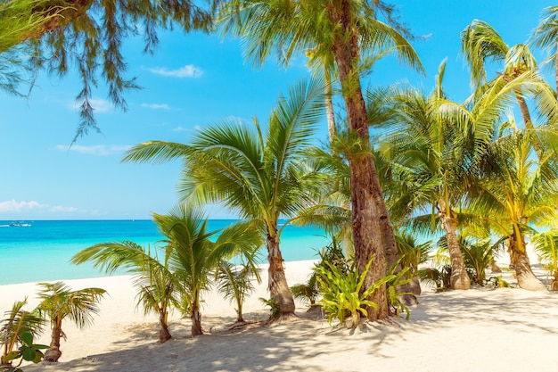 Bellissimo paesaggio della spiaggia tropicale sull'isola di Boracay, Filippine. Palme da cocco, mare, barca a vela e sabbia bianca. Vista della natura. Concetto di vacanza estiva.