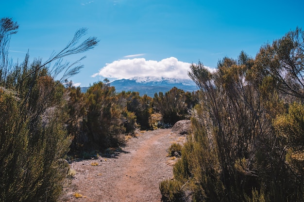 Bellissimo paesaggio della Tanzania e del Kenya dal monte Kilimanjaro. Rocce, cespugli e terreno vulcanico vuoto intorno al vulcano Kilimanjaro.