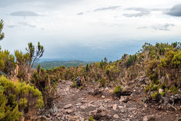 Bellissimo paesaggio della Tanzania e del Kenya dal monte Kilimanjaro. Rocce, cespugli e vulcano