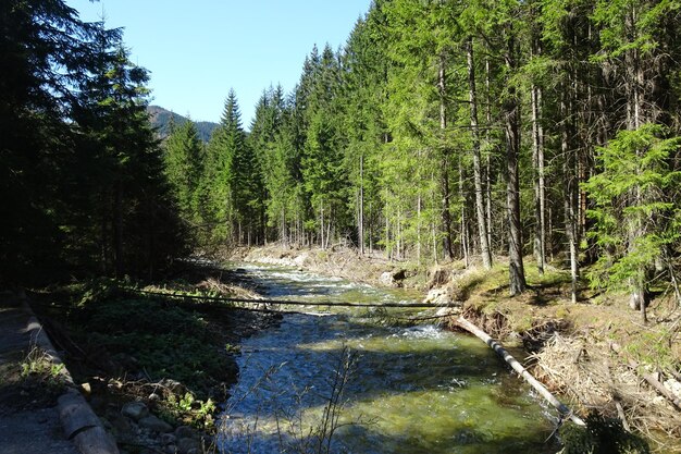 bellissimo paesaggio della valle di montagna