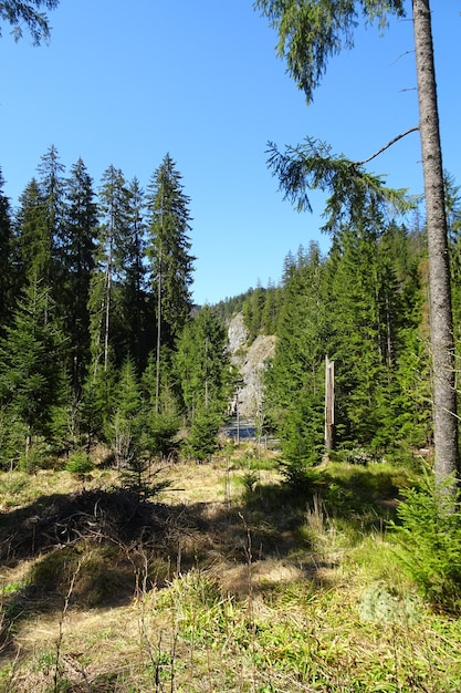 bellissimo paesaggio della valle di montagna