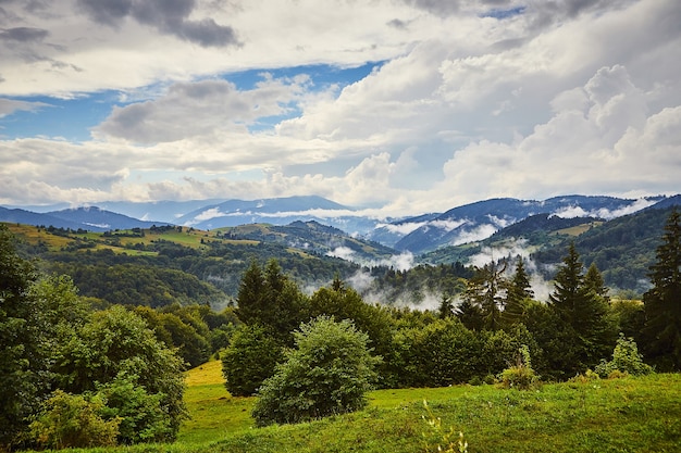 Bellissimo paesaggio delle montagne di Svirzh