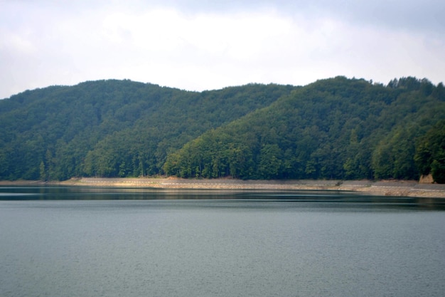 Bellissimo paesaggio di acqua di lago di montagna nella nebbia, sopra la diga di Solina. Foto di alta qualità