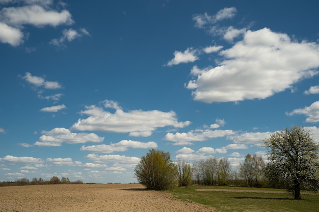 Bellissimo paesaggio di cielo blu con nuvole e campo in Ucraina