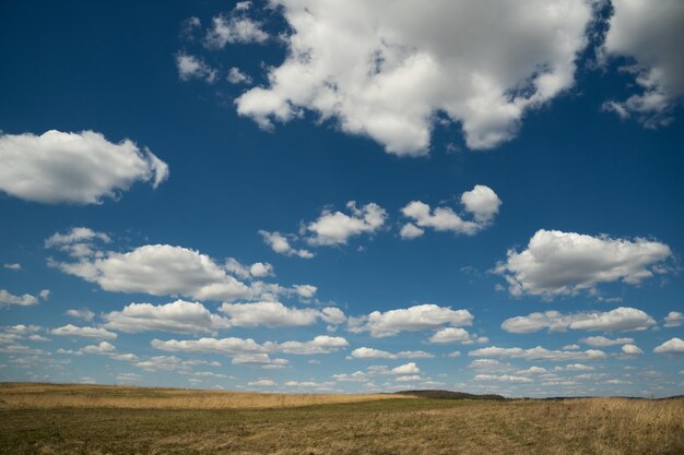 Bellissimo paesaggio di cielo blu con nuvole e campo in Ucraina