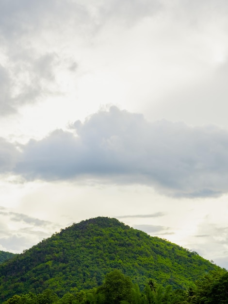 Bellissimo paesaggio di foresta verde con vista sulle montagne e foresta pluviale tropicale con nuvole dopo la pioggia mattutina Natura verde terra ed ecologia in stile verticale