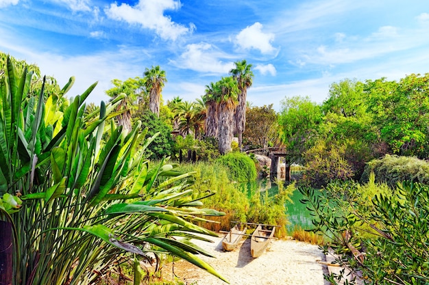 Bellissimo paesaggio di giungla tropicale umida.