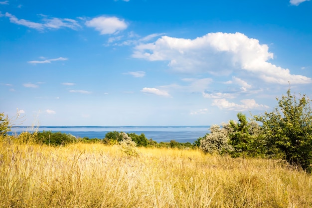 Bellissimo paesaggio di Kaniv Reservoir shore Ucraina in una giornata di sole con cielo nuvoloso luminoso cloud