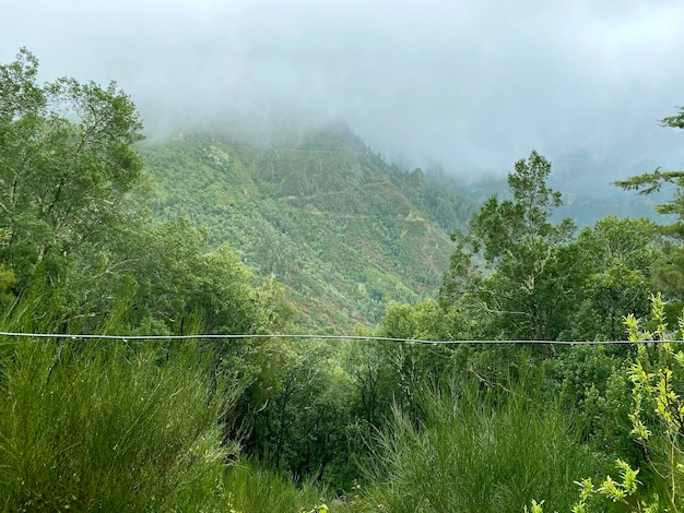 Bellissimo paesaggio di Madera