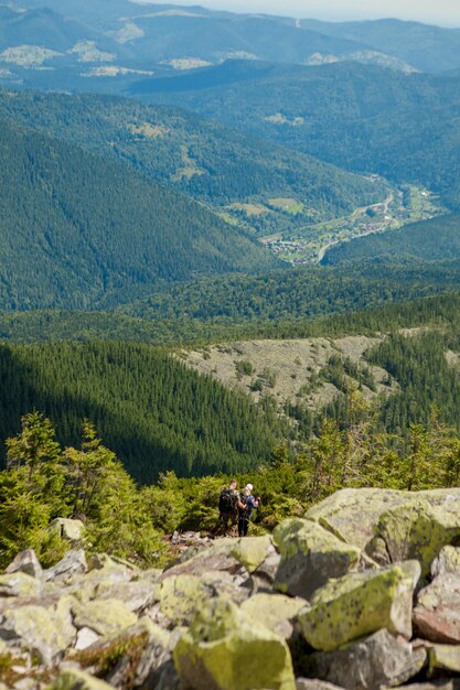 Bellissimo paesaggio di montagna con cime ricoperte di foresta e un cielo nuvoloso Ucraina montagne Europa