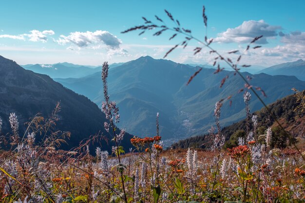 Bellissimo paesaggio di montagna con picchi e valli