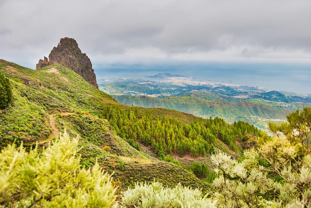 Bellissimo paesaggio di montagna con pineta e vista sulla costa dell'oceano. Spagna, isola di Gran Canaria