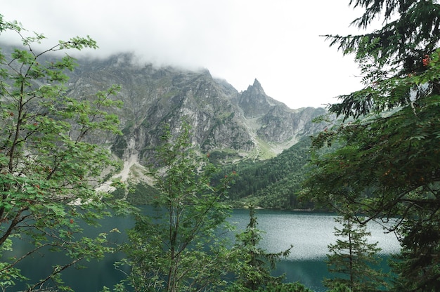 Bellissimo paesaggio di montagna e lago