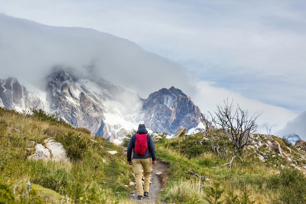 Bellissimo paesaggio di montagna nel Parco Nazionale Torres del Paine, Cile