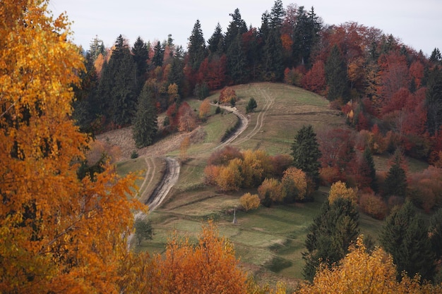 Bellissimo paesaggio di montagne autunnali. Carpazi, Ucraina