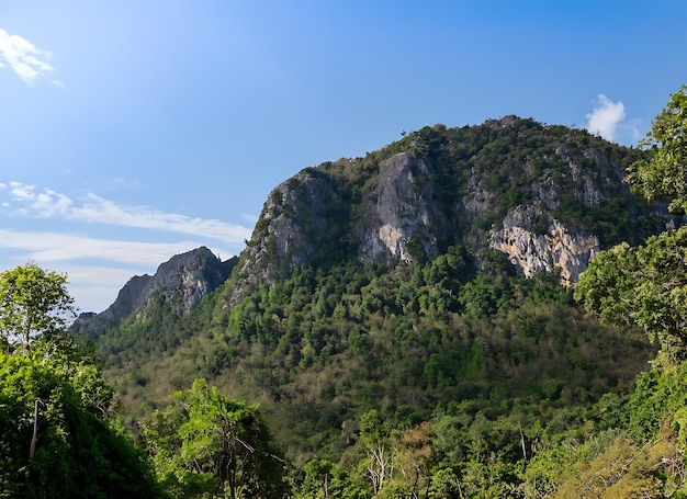 Bellissimo paesaggio di montagne rocciose calcaree e foreste verdi con cielo blu