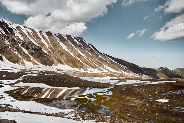 Bellissimo paesaggio di montagne