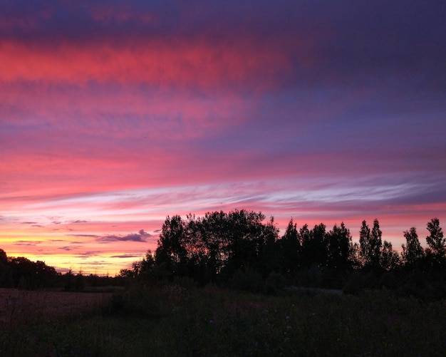 Bellissimo paesaggio di nuvole. Paesaggio al tramonto con cielo luminoso e foresta.