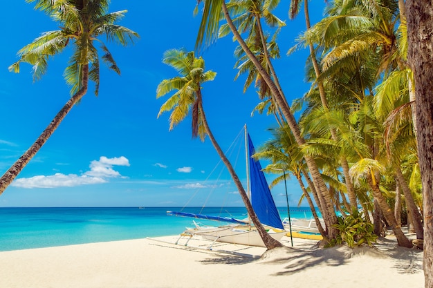 Bellissimo paesaggio di spiaggia tropicale Palme da cocco mare barca a vela e sabbia bianca