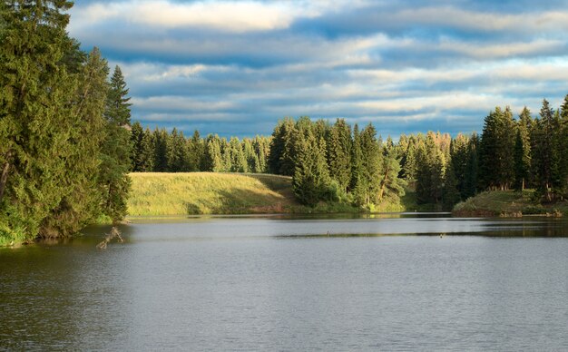 Bellissimo paesaggio di stagno in una foresta