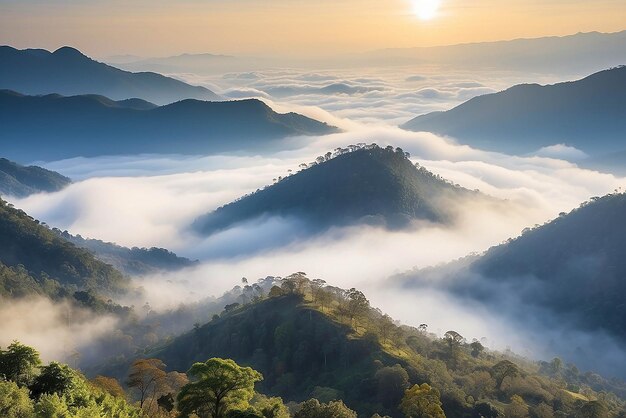 Bellissimo paesaggio di strato montuoso nel raggio del sole mattutino e nella nebbia invernale a Doi Hua Mae Kham Mae Salong Nai Chiangrai Thailandia