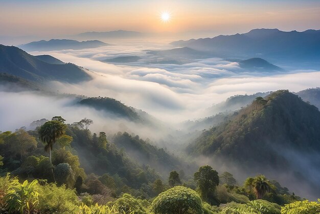 Bellissimo paesaggio di strato montuoso nel raggio del sole mattutino e nella nebbia invernale a Doi Hua Mae Kham Mae Salong Nai Chiangrai Thailandia