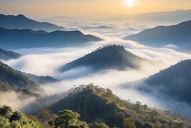 Bellissimo paesaggio di strato montuoso nel raggio del sole mattutino e nella nebbia invernale a Doi Hua Mae Kham Mae Salong Nai Chiangrai Thailandia