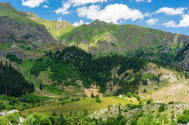 Bellissimo paesaggio estivo a Savsat, provincia di Artvin, Turchia