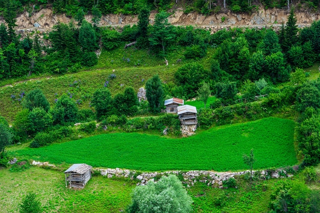 Bellissimo paesaggio estivo a Savsat, provincia di Artvin, Turchia