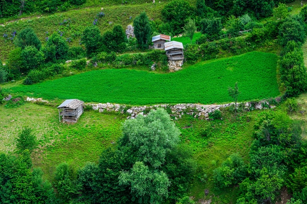 Bellissimo paesaggio estivo a Savsat, provincia di Artvin, Turchia