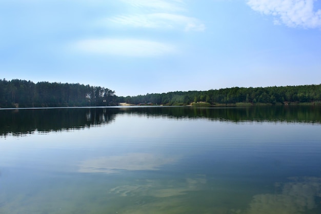 Bellissimo paesaggio estivo con pittoresco lago nella foresta