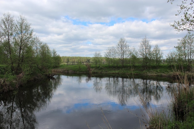 Bellissimo paesaggio estivo con un pittoresco lago in primavera