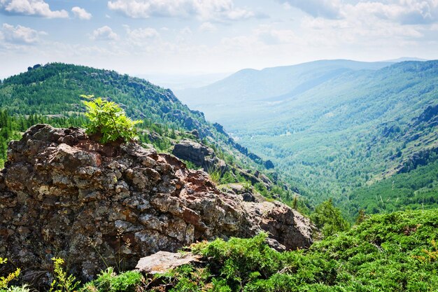 Bellissimo paesaggio estivo delle montagne verdi e della gola