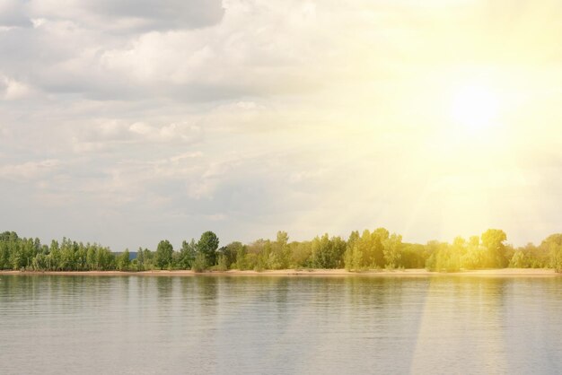 Bellissimo paesaggio estivo Fiume e foresta verde alla luce del sole