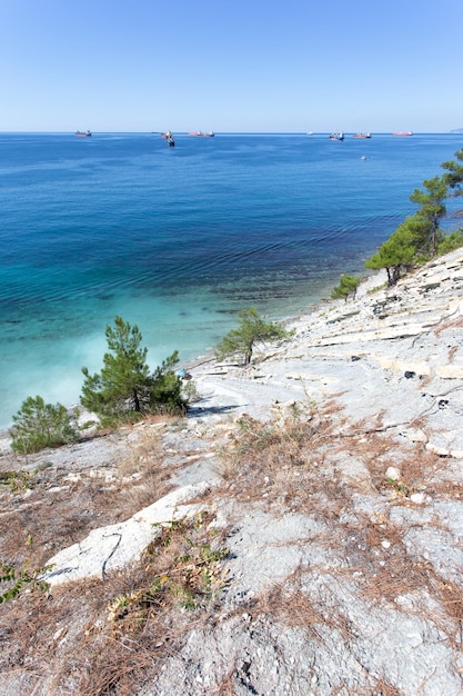 Bellissimo paesaggio estivo Vista sulle rocce della foresta e sulla costa del mare Gelendzhik Russia Costa del Mar Nero