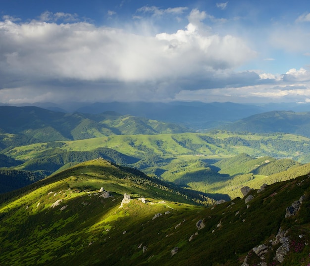 Bellissimo paesaggio estivo