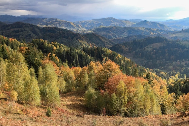 Bellissimo paesaggio forestale autunnale Gli alberi illuminati dal sole bruciano Escursionismo Viaggio Stile di vita concetto vista sulle montagne Viaggio nelle montagne dei Carpazi Ucraina