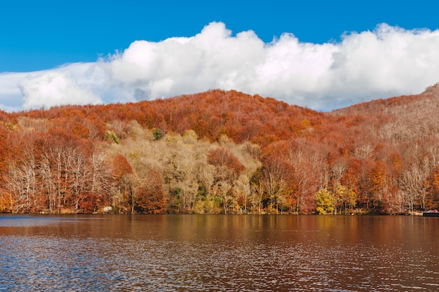 Bellissimo paesaggio in autunno