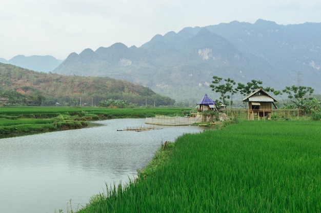 Bellissimo paesaggio in Mai Chau, Vietnam, Sud-est asiatico