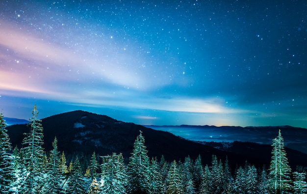 Bellissimo paesaggio innevato, alti abeti verdi snelli e luminosi crescono su una collina contro una montagna e un cielo stellato splendente scuro.