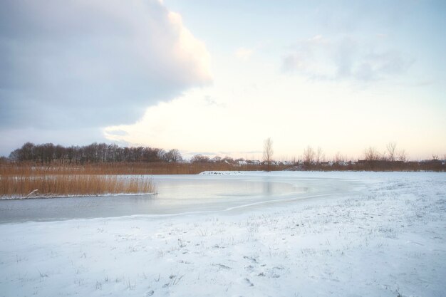 Bellissimo paesaggio invernale al tramonto con nebbia e neve che ricopre i terreni agricoli e il fiume netherland