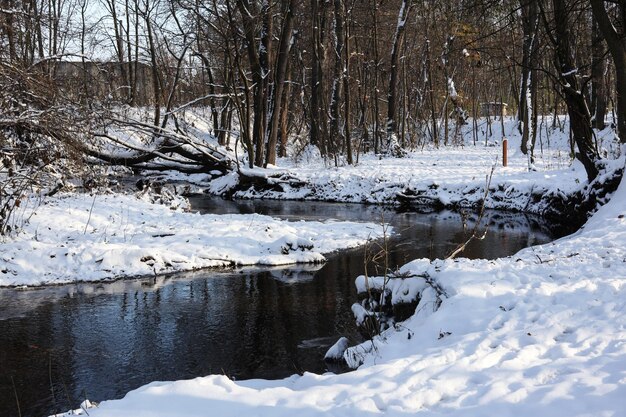 bellissimo paesaggio invernale con alberi coperti di neve e un piccolo fiume