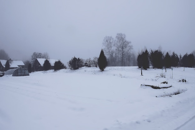 Bellissimo paesaggio invernale con alberi nella neve in campagna